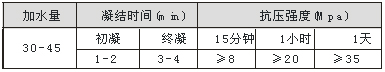 速效強(qiáng)力堵漏王